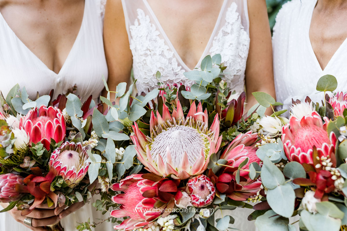 Rebecca Colefax Photography - Wedding-7