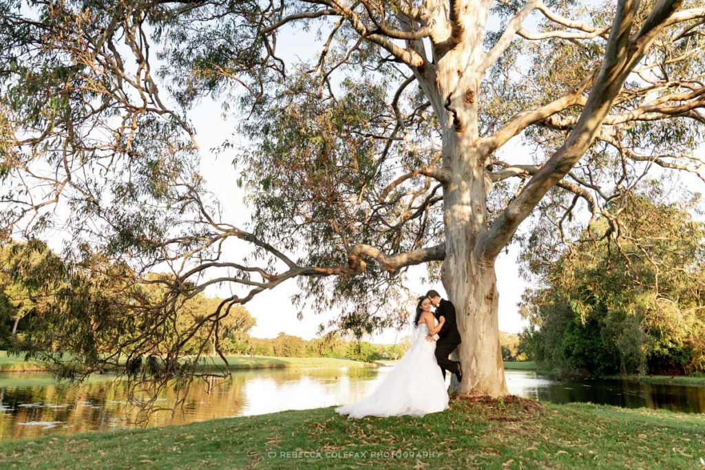 Noosa Springs Wedding Photography Noosa Photography Co