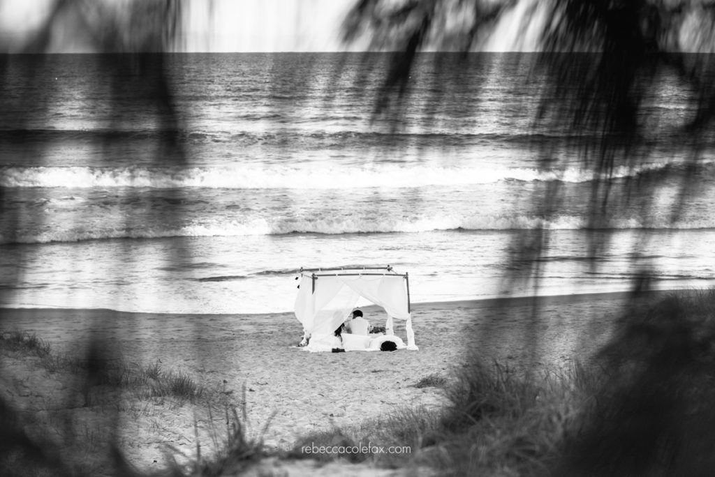 Noosa Picnics Photographer Noosa Photography Co