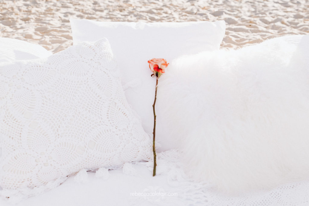 Noosa Picnics Photographer Noosa Photography Co