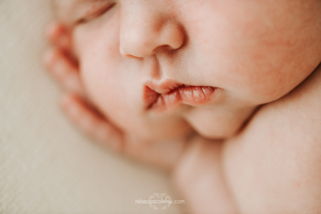 Natural Newborn Photos Noosa