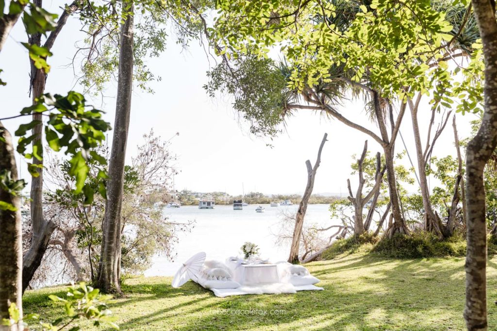 Noosa Picnics Photographer Noosa Photography Co