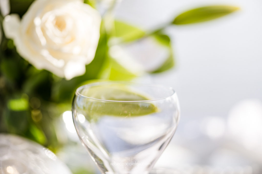 Noosa Picnics Photographer Noosa Photography Co