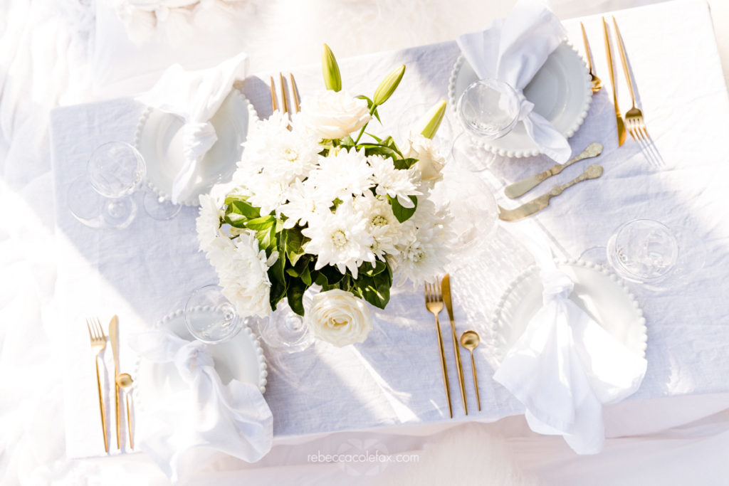 Noosa Picnics Photographer Noosa Photography Co