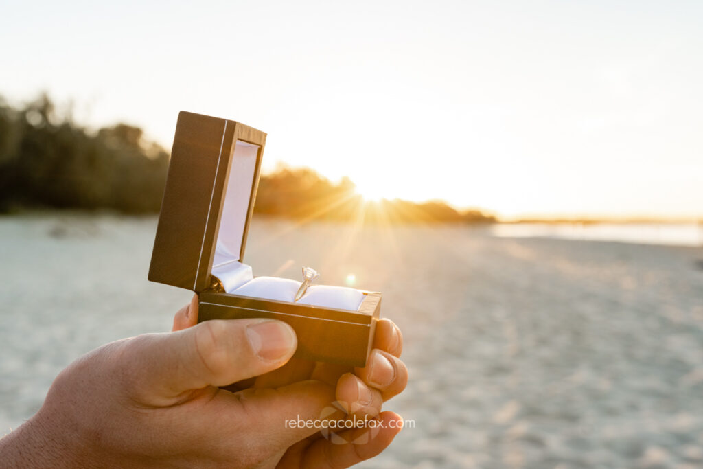 Proposal on Noosa Main beach