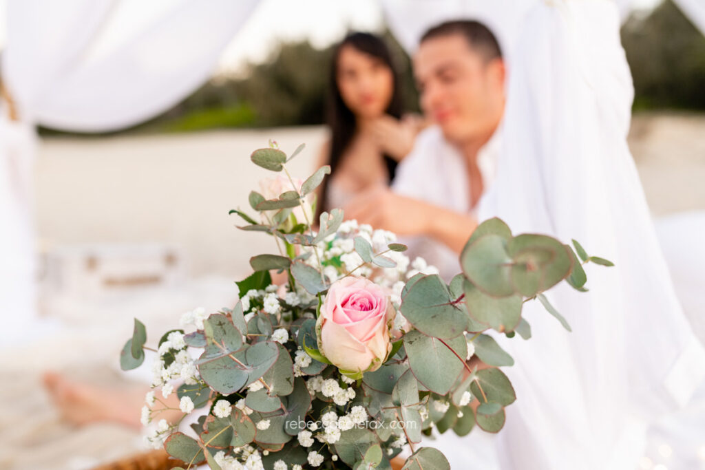 Proposal on Noosa Main beach