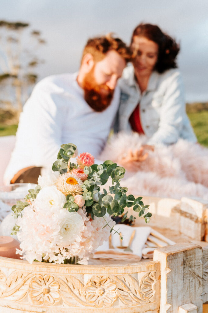 Maleny Picnic by Noosa Photography Co