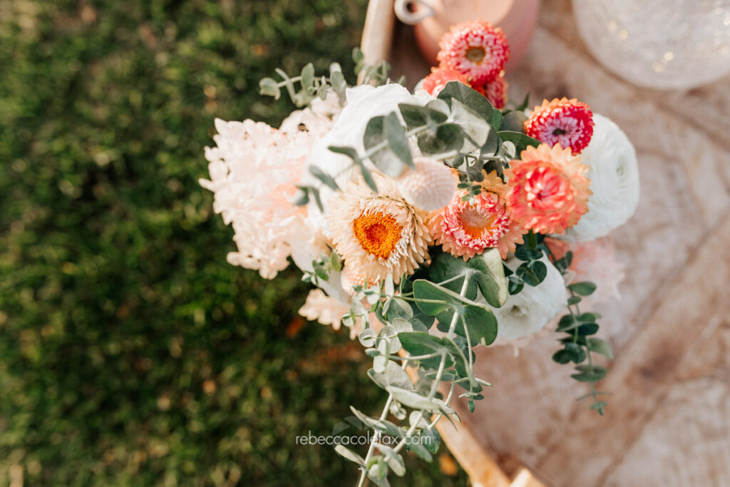 Maleny Picnic by Noosa Photography Co