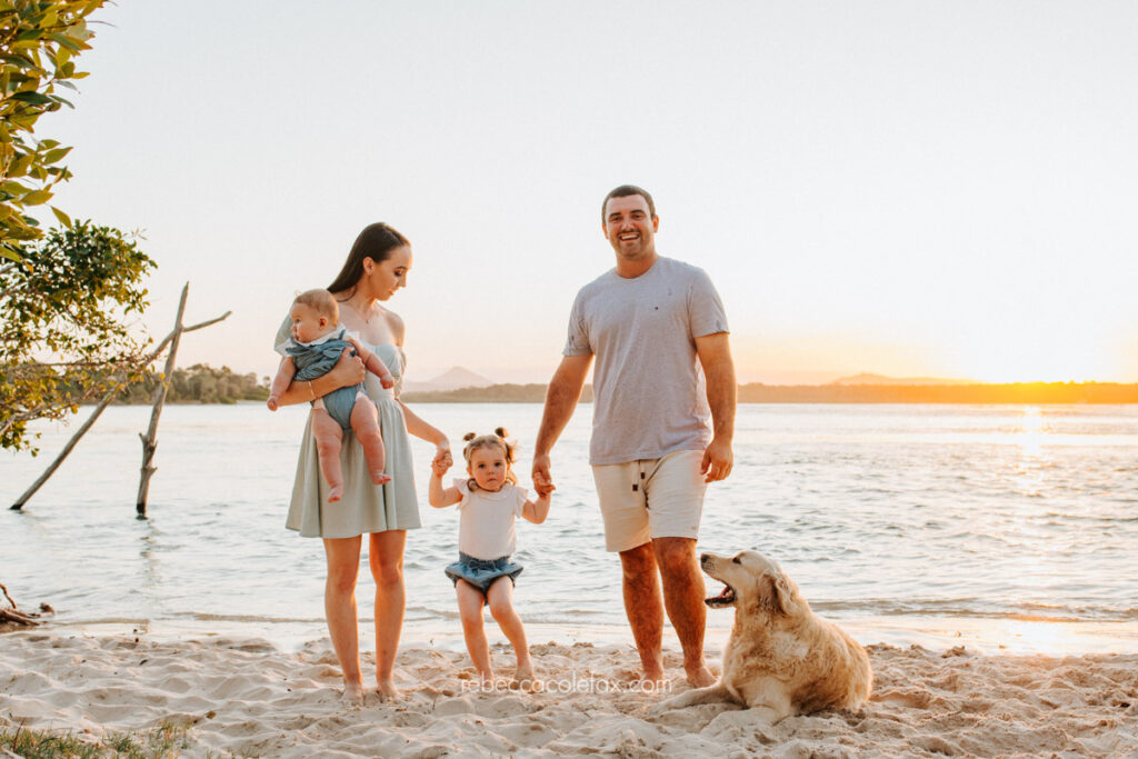 Pet Photography Noosa