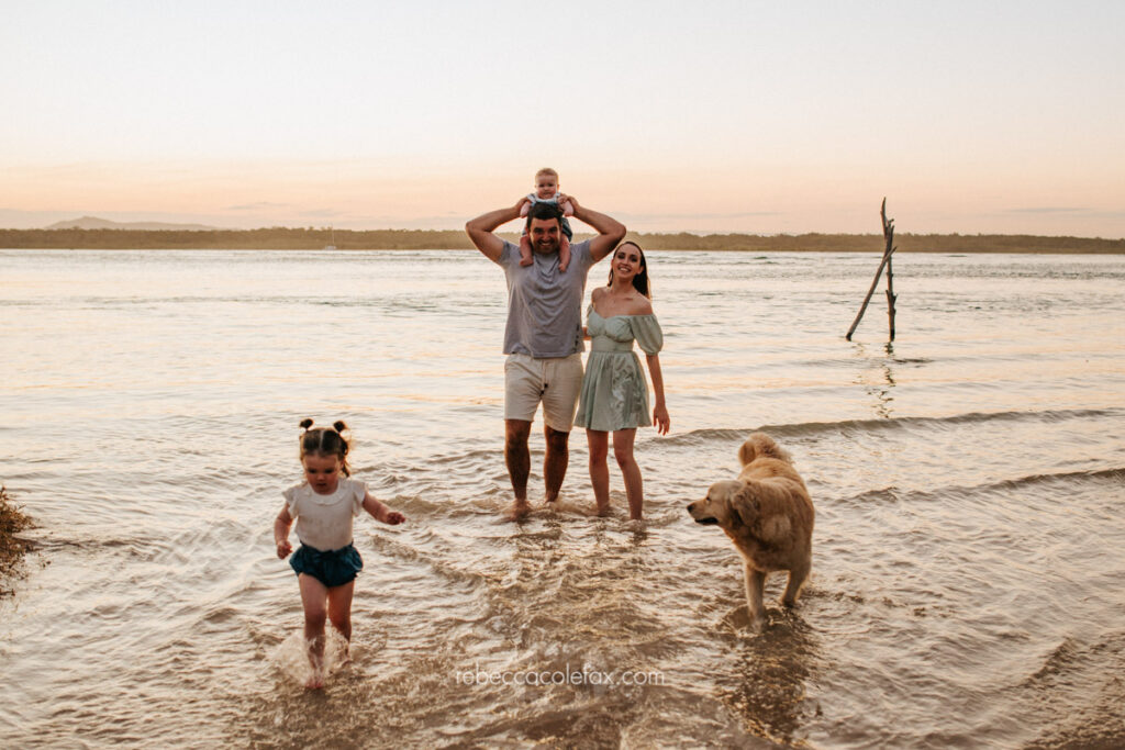 Pet Photography Noosa