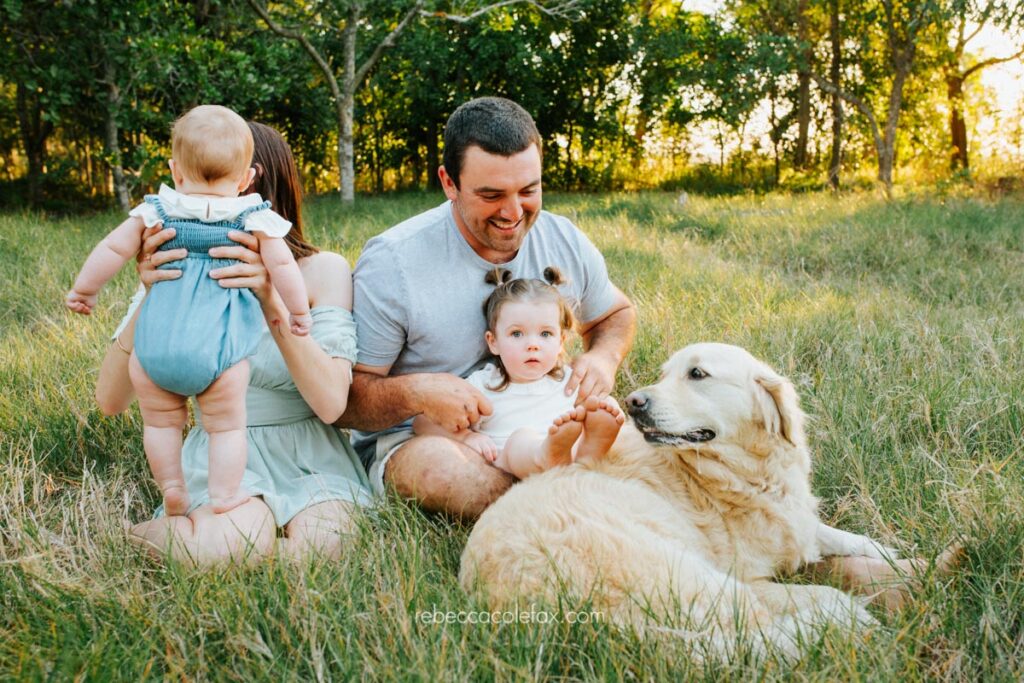 Pet Photography Noosa