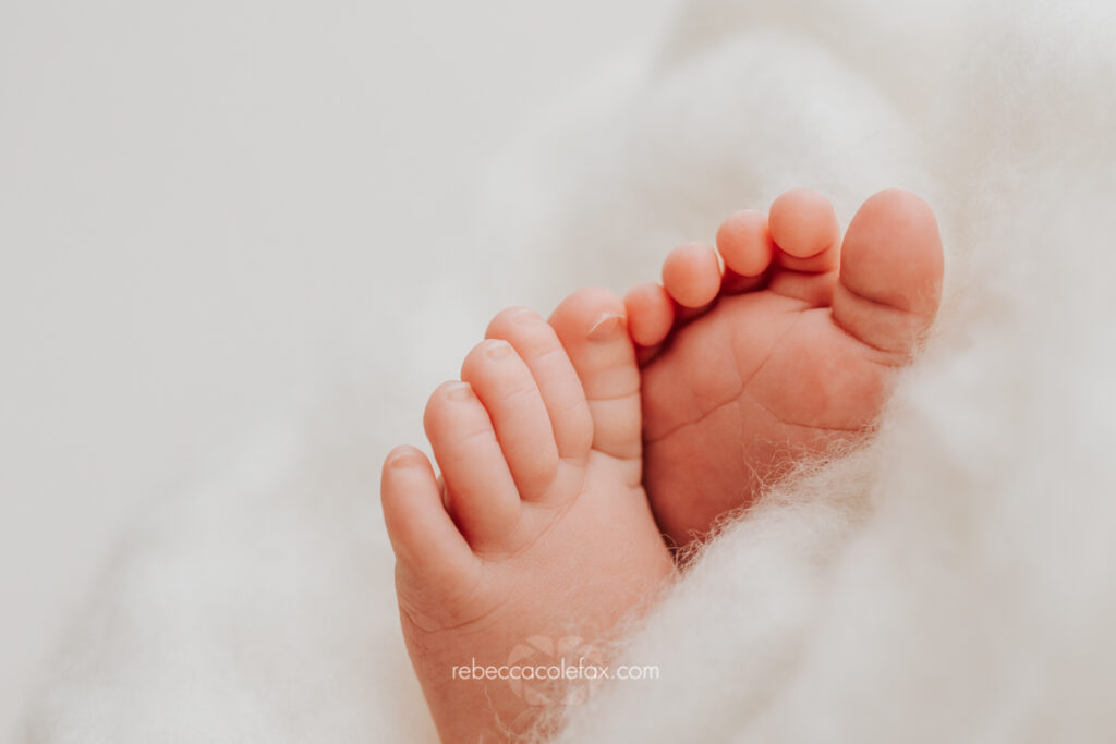 Newborn Baby Photos Sunshine Coast