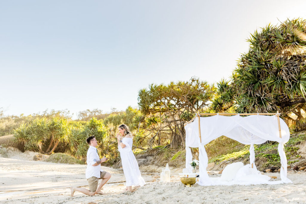 Picnic Proposal Sunshine Coast