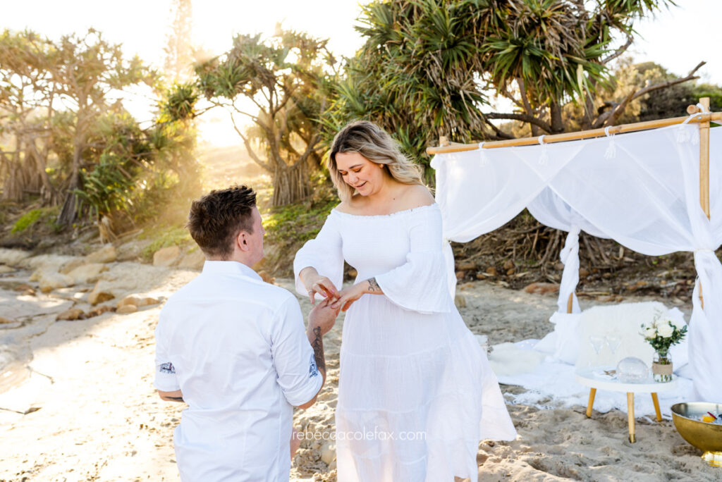 Picnic Proposal Sunshine Coast