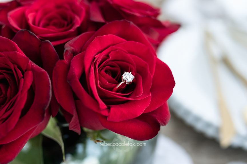 Proposal Photoshoot Sunshine Coast Ring