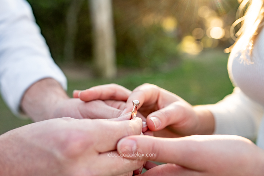 Proposal Photoshoot Sunshine Coast