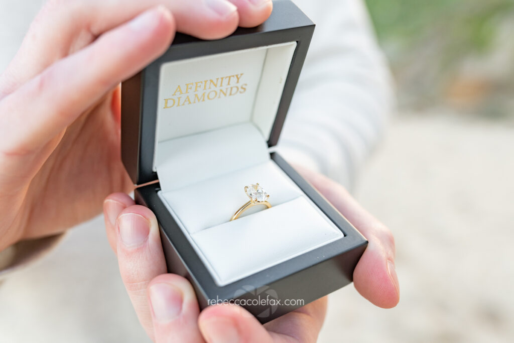 Proposal Photoshoot Sunshine Coast Ring