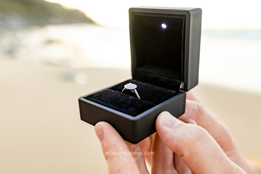Unique Proposal Experiences Noosa by Noosa Photography Co