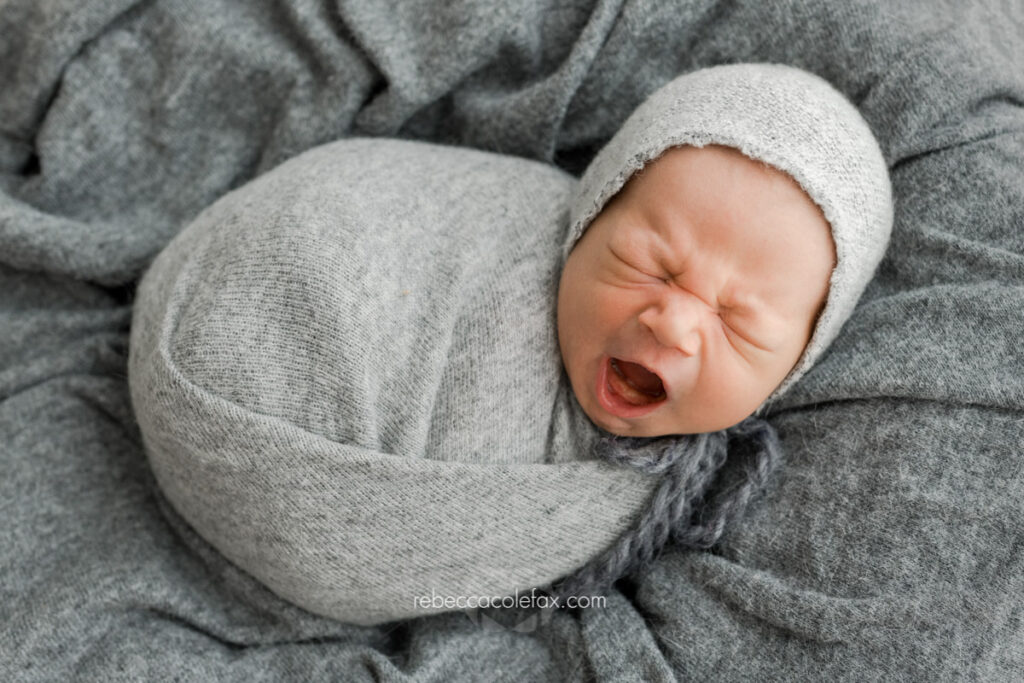 Sunshine Coast Newborn Photographer