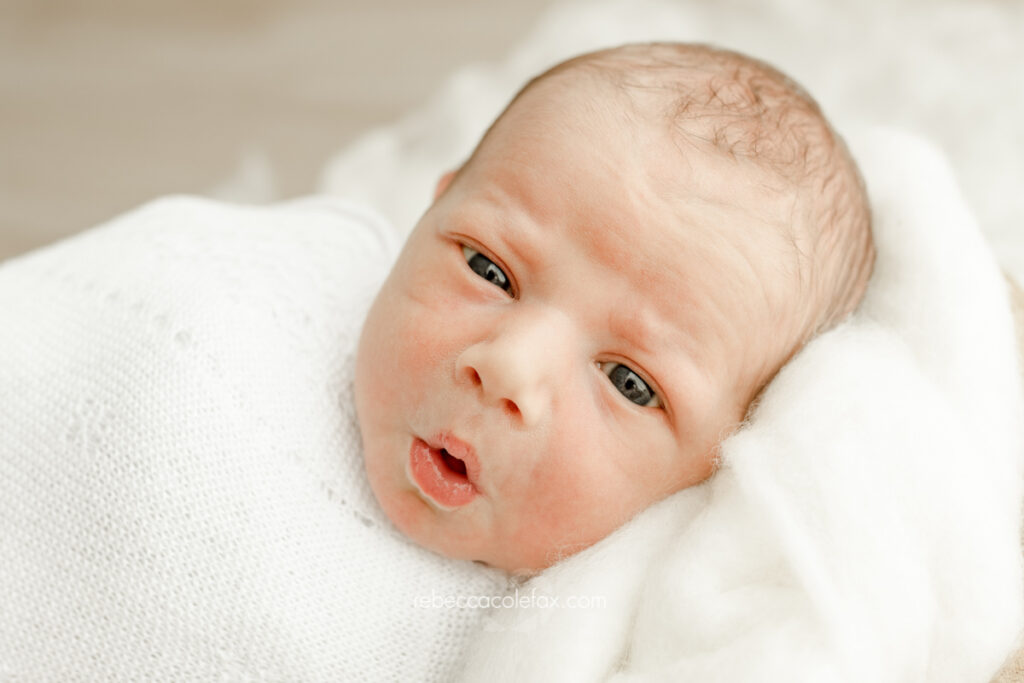 Sunshine Coast Newborn Photographer