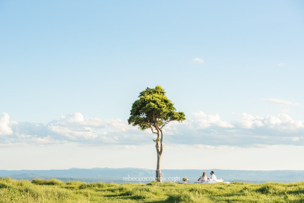 Maleny Proposal Photographer