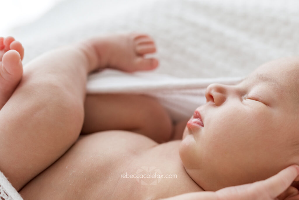 Newborn Photography Noosa by Noosa Photography Co