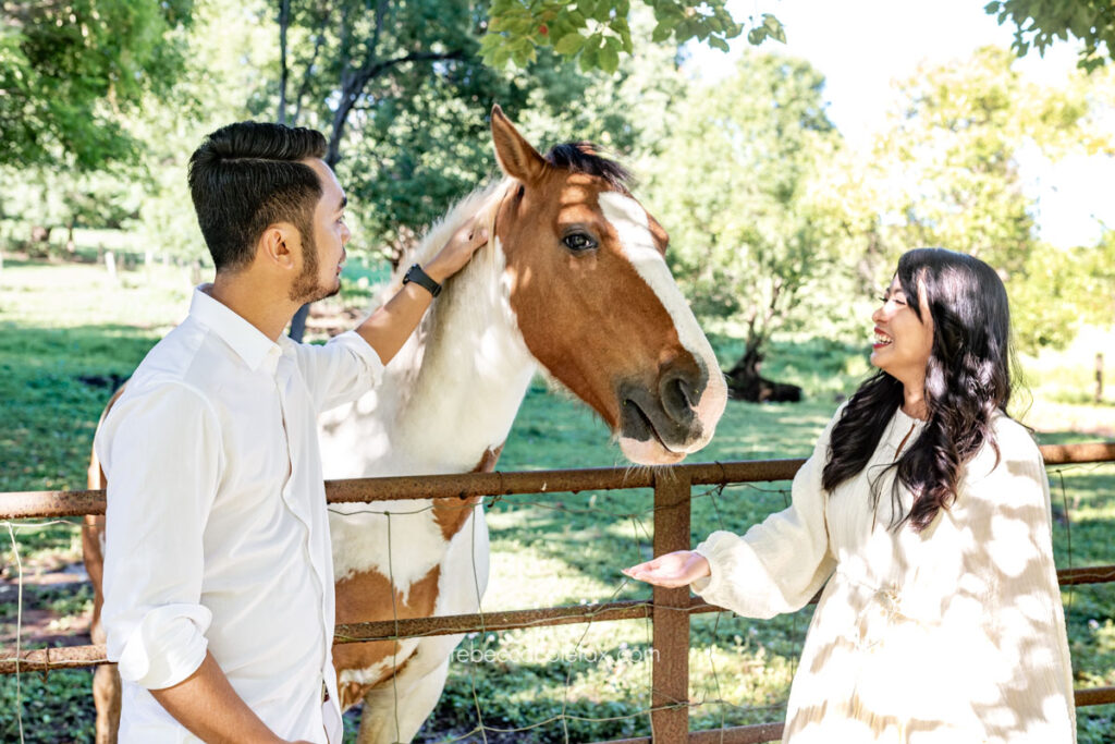 Proposal Photos Sunshine Coast