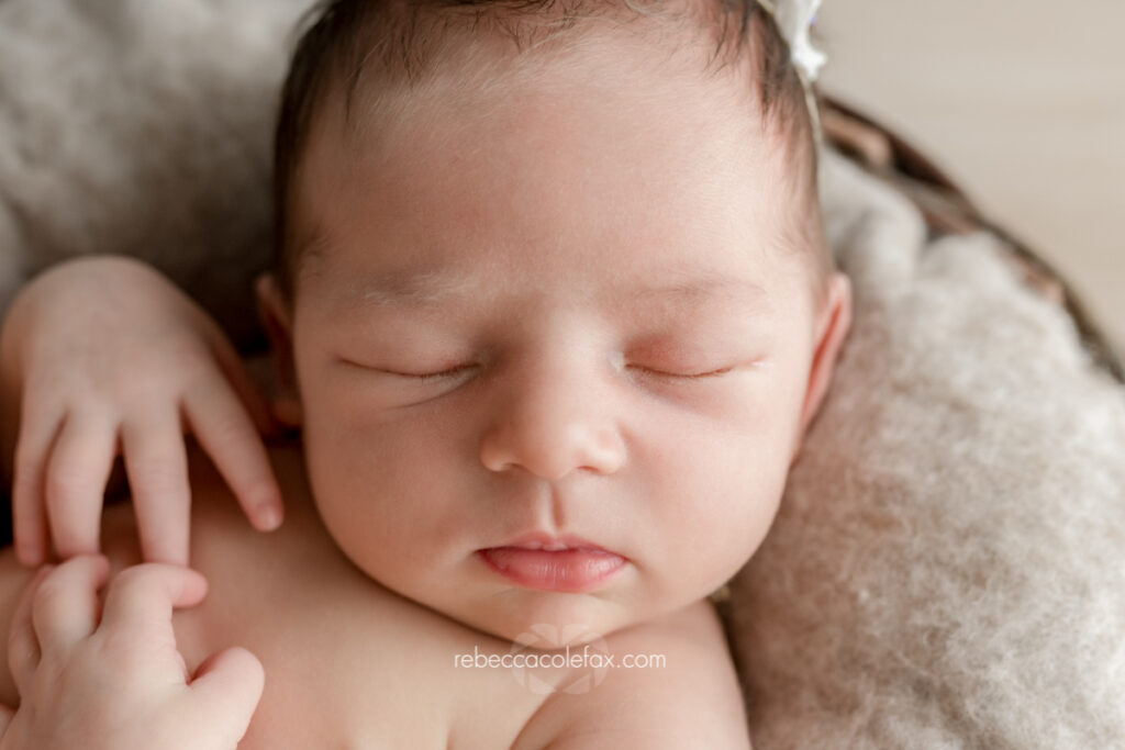 Newborn Photography Noosa by Noosa Photography Co