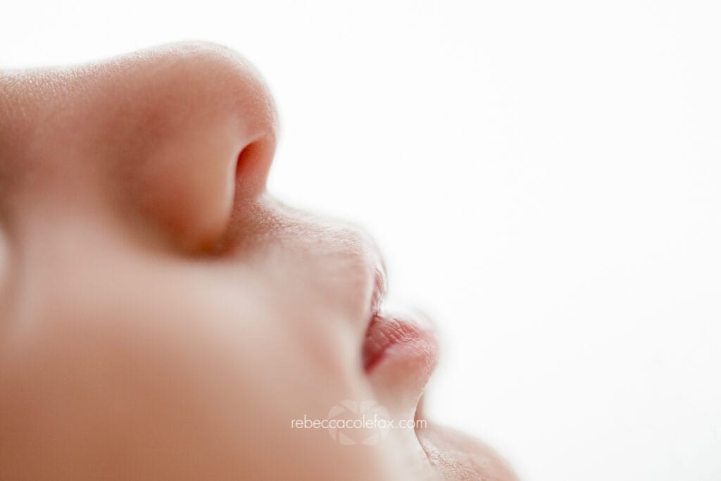 Newborn Photography Noosa