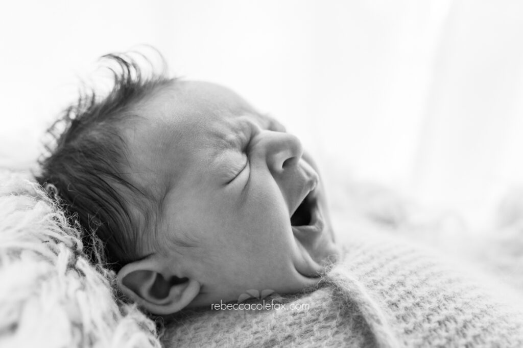 Newborn Photography Noosa by Noosa Photography Co