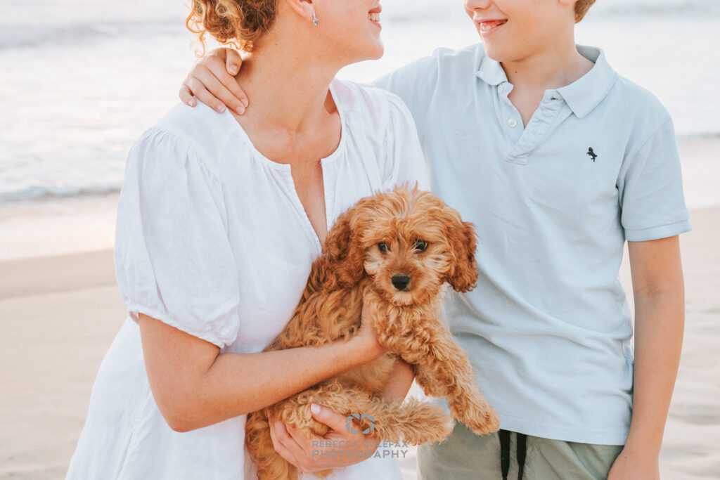 Noosa Photography Co ~ Noosa Photography Locations Guide