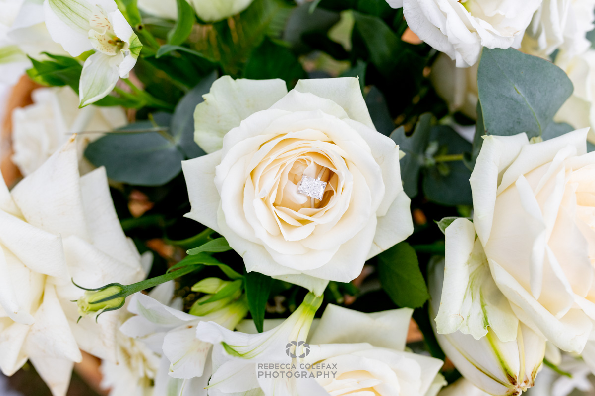 Proposal Photography Noosa Gondola