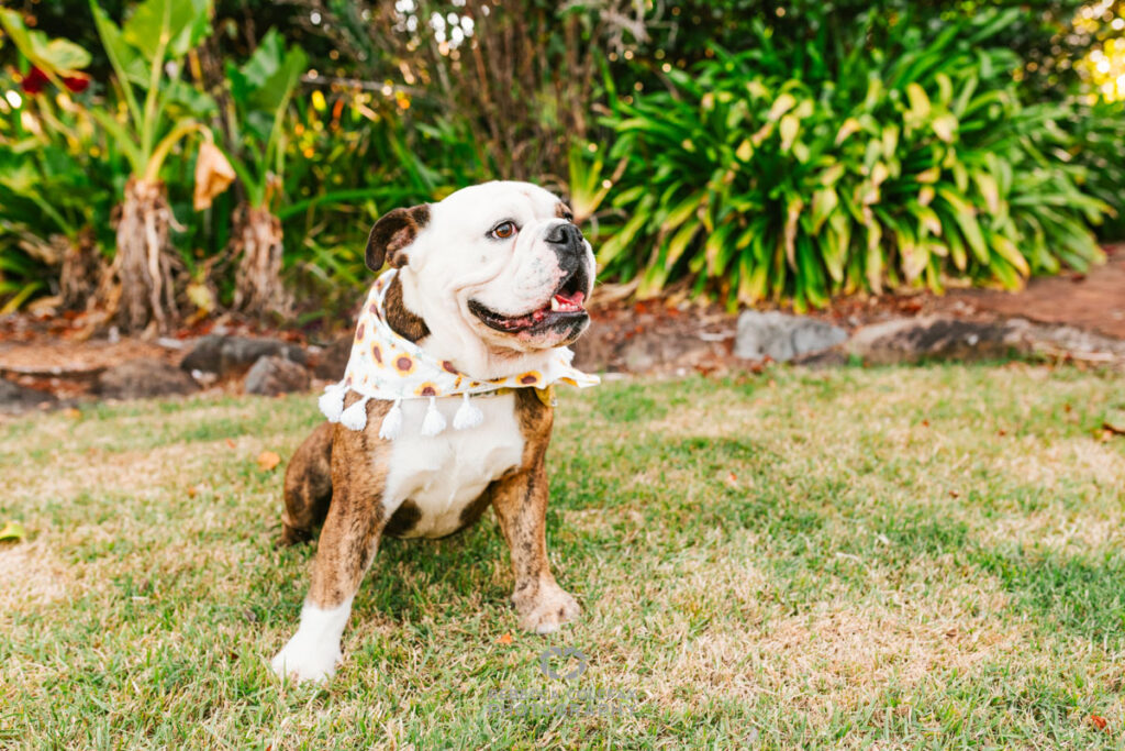 Maleny Family Photoshoot