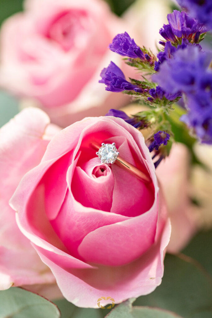Montville Proposal Photography