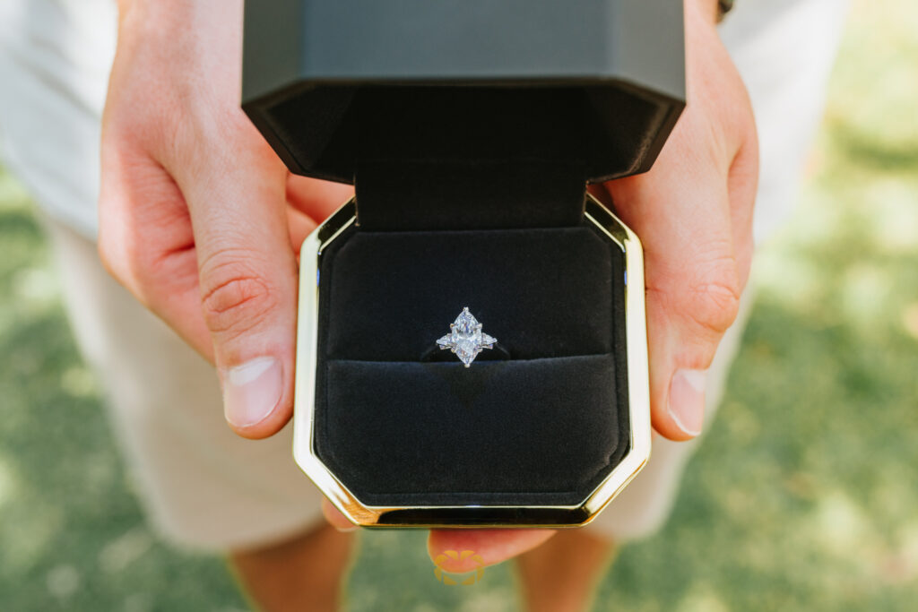 Surprise Proposal Noosa Woods