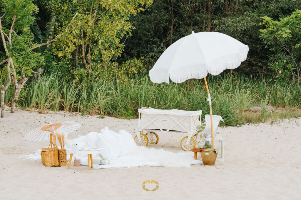 Noosa Proposal Photographer Perfect Picnic Engagement