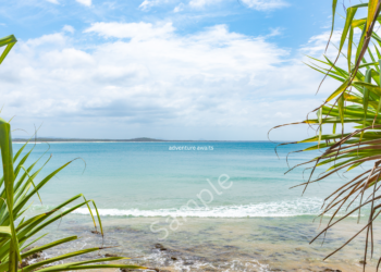 Design4_Android Tablet Landscape (2560 x 1600 px)