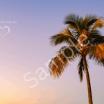 ORIGINAL Design1_Desktop_3840x2160_4K