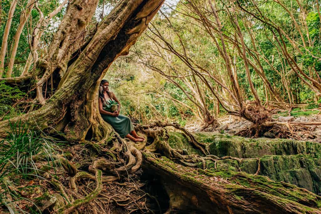Photography, Country and Shared Stories Samantha Martin