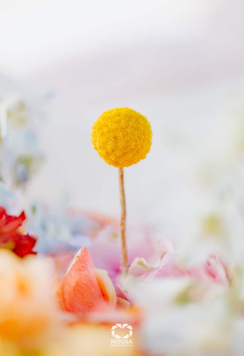 Noosa Flowers