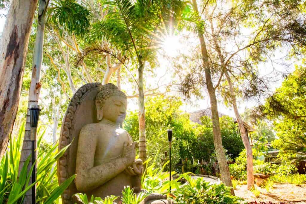 Makepeace Island Noosa Photographer Noosa Photography Co