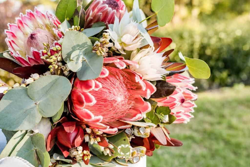 Noosa Wedding Photographer