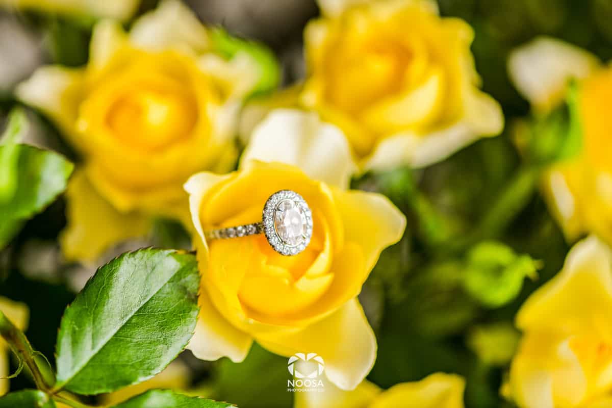 Bright yellow flower and engagement ring