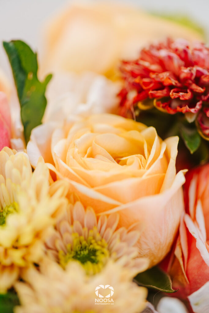 Noosa proposal photography by Noosa Photography Co